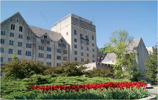 校园风景（三）