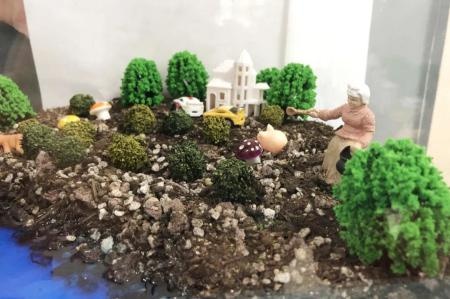 生物群落.jpg