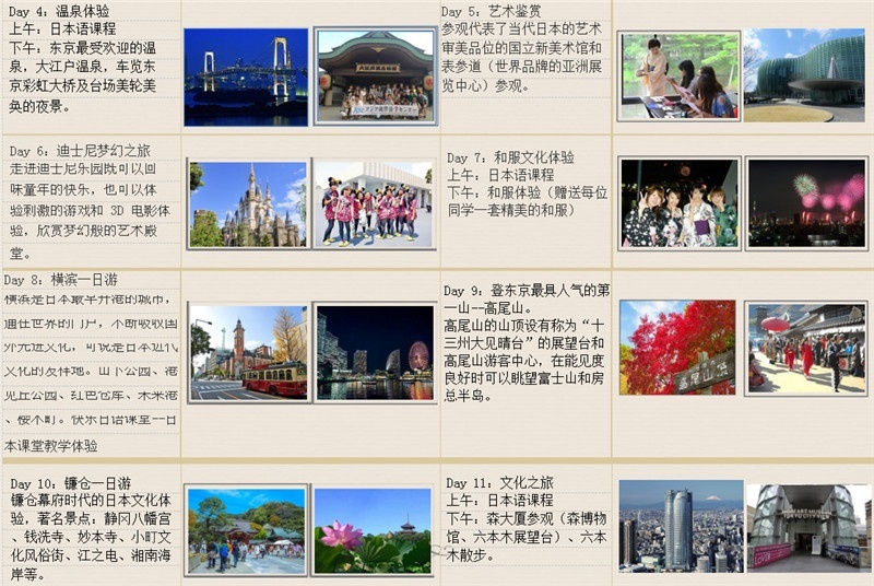 美知教育