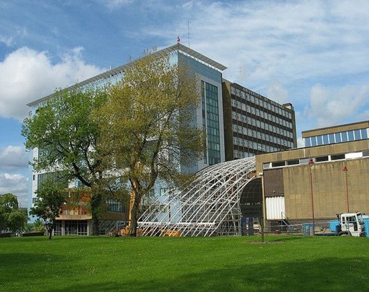 布拉德福德大学