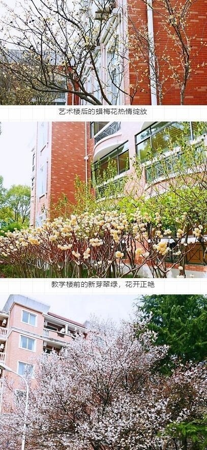 领科春天校园.jpg