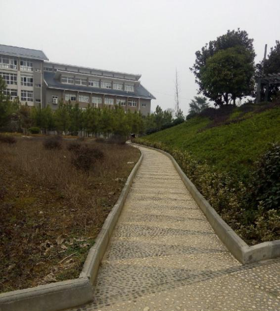 截图20200326145147