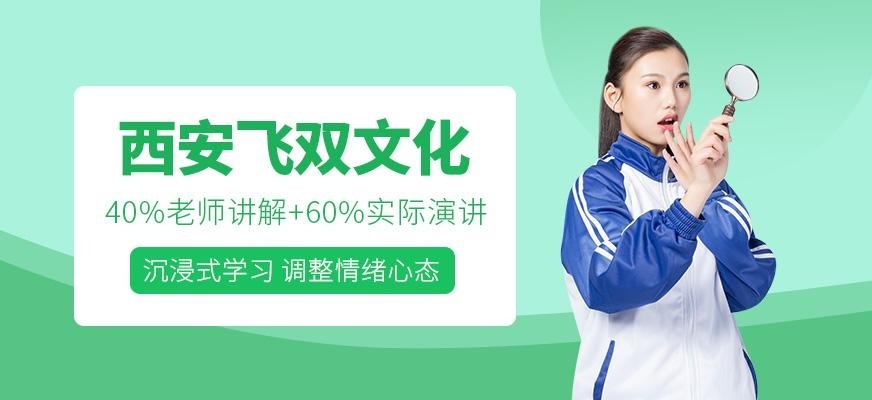 西安飞双文化