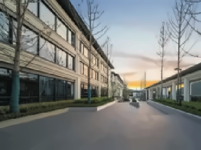 蓝润天使外国语实验学校AP课程