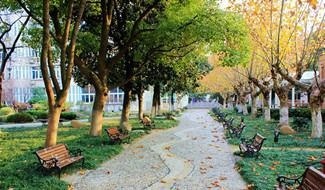 南京师范大学附属中学树人学校