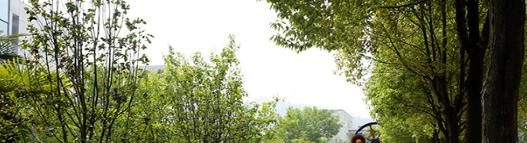 淮南职业技术学院2020年招生代码 