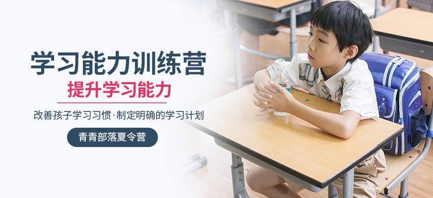 学习能力夏令营