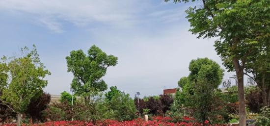 铜鼓职业中专学校