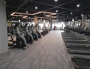 跑步区域