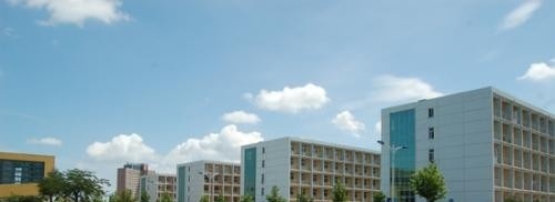 烟台工程职业技术学院单招2019年单独招生录取分数线