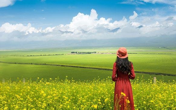 深圳罗湖区成人英语培训班