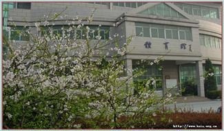 校园风采