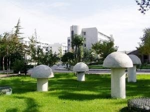 首都经济贸易大学校园风景