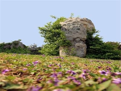 校园小景