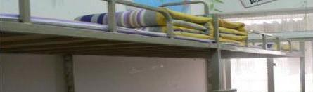 山东药材技工学校