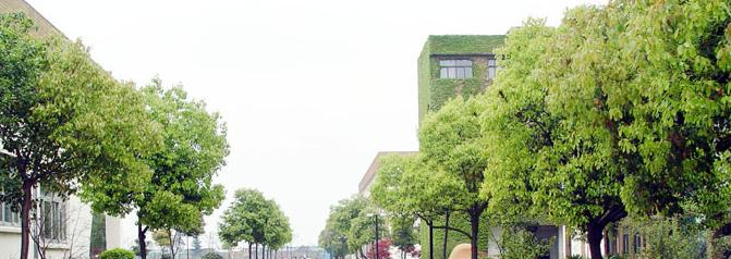 江苏常熟中学网站