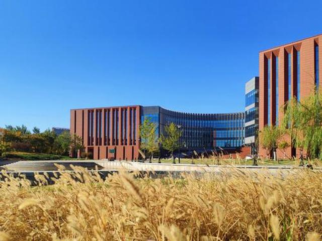 校园风采（二）