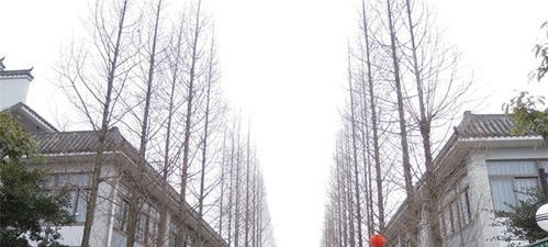 成都科华职业技术学校