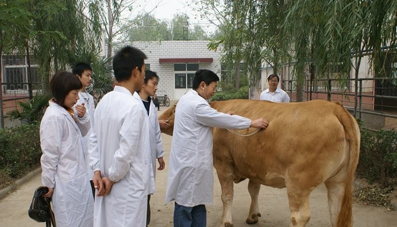 曲靖市师宗职业技术学校