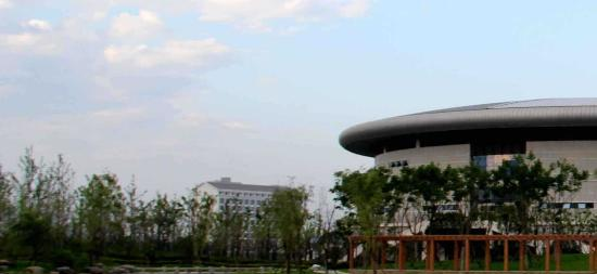 合肥幼儿师范高等专科学校2020年招生代码