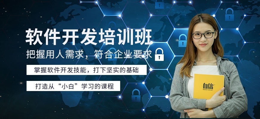 软件开发