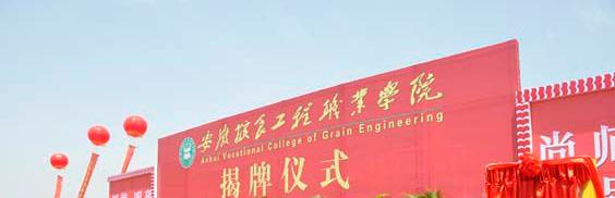 安徽粮食工程职业学院2019年单招录取分数线