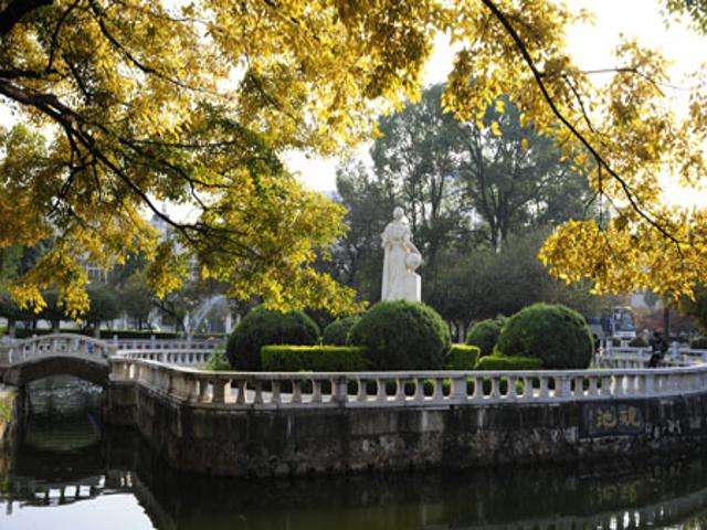 校园风景（四）