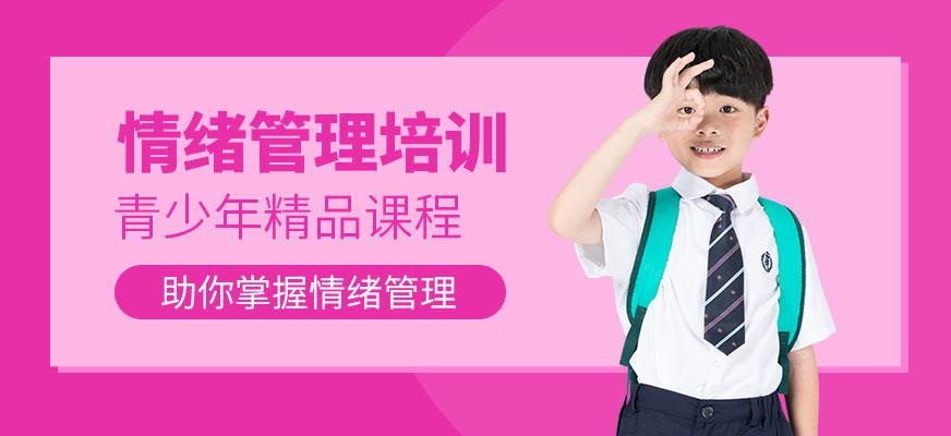 重庆青少年情绪管理培训大图