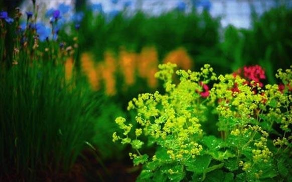 雅思阅读怎么从6.5到7