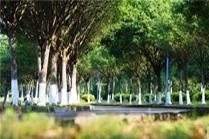 珠海市国际商务培训学校