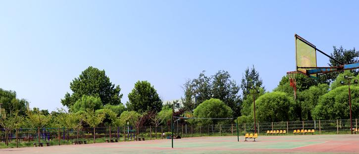 石家庄康福外国语学校小学部2020年报名条件、招生要求、招生对象