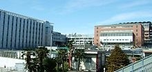 爱知淑德大学