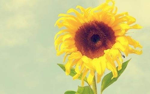 想考研英语很差怎么补