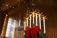 国际基督教大学