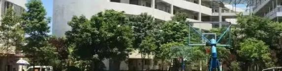 宜宾长江职业技术学校