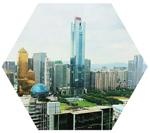 维基国际教育地址