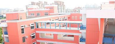 上海诺科学校2023年录取分数线