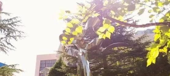 甘肃省庆阳中学2023年报名条件、招生要求、招生对象 