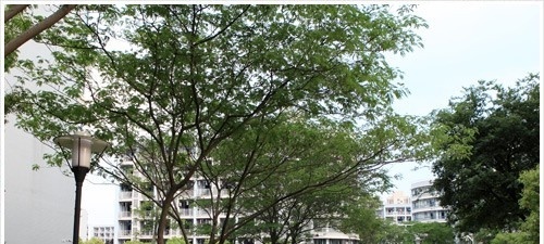 浙江经贸职业技术学院2019年单招录取分数线