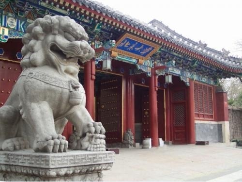 北京引航者教育