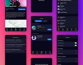 软件界面/INTERFACE
