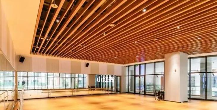 广州爱莎国际学校怎么样