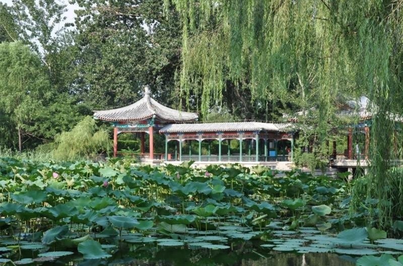  北京大学留学预科