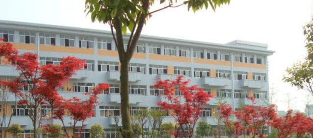 四川大英中学