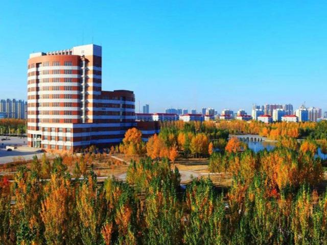 校园风采（六）