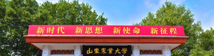 山东农业大学是不是双大学？