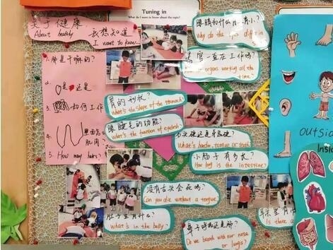 常青藤幼儿园能动性培养1.jpg