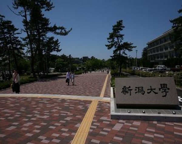 新泻大学
