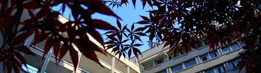 安徽职业技术学院怎么样、好不好