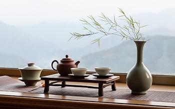 学习茶学基础